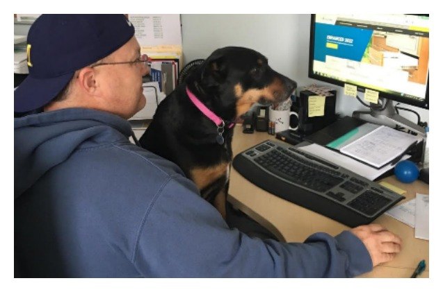 work from home dad names dog as multiple employee of quarter