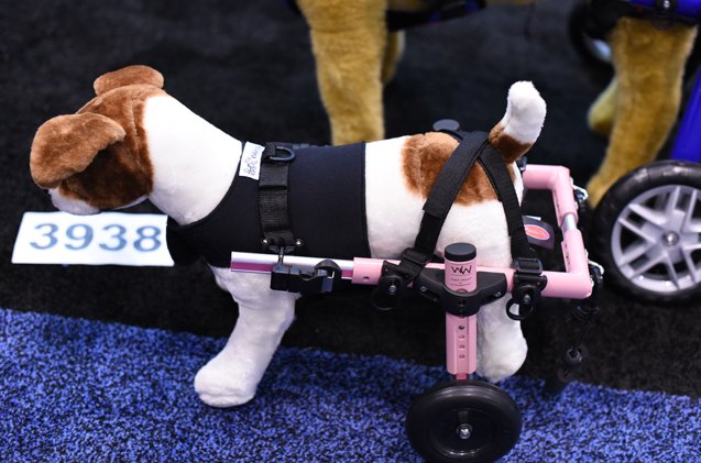 global pet expo 2017 walkin 8217 wheels wheelchair now offered in mini size