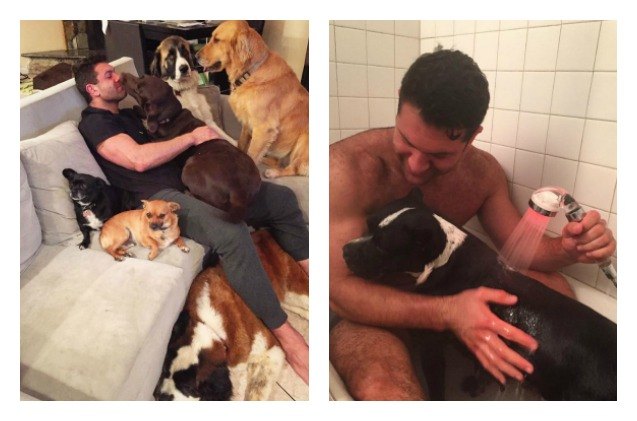 los angeles man cant help himself from adopting all the animals