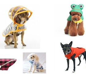 10 Misty Raincoats To Keep Your Pooch Dry