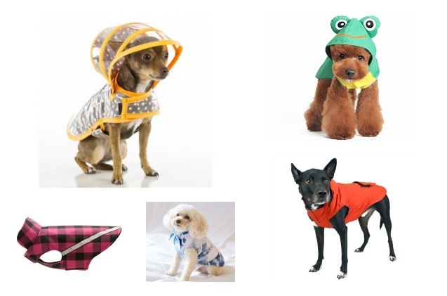 10 misty raincoats to keep your pooch dry