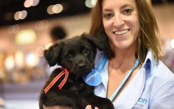 Wrap-Up of Global Pet Expo 2017 Day 1: Too. Much. Awesome!