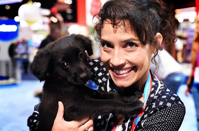 unexpected romance blooms at global pet expo