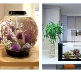 Top 8 All-In-One Aquariums