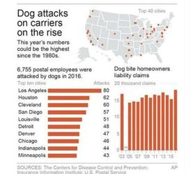 us postal service says dog bite numbers are on the rise