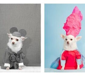 canine couture for tonights met gala