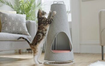 The Cone May Be the Most Beautiful Scratching Post You’ve Seen