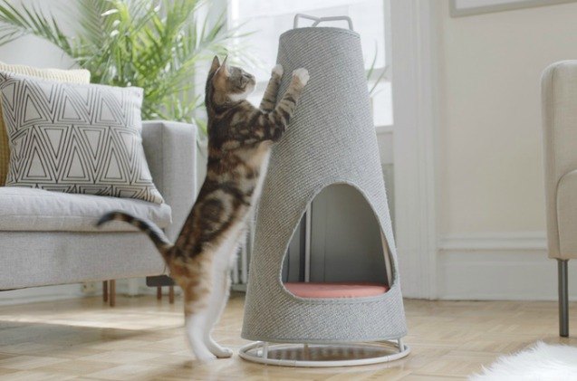 the cone may be the most beautiful scratching post youve seen