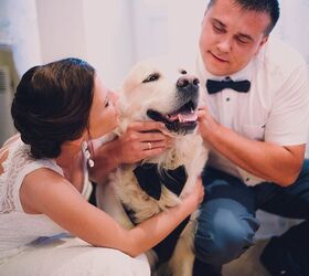 Morris Animal Inn’s Wedding Service Caters to Newlyweds’ Furry Bes