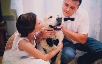 Morris Animal Inn’s Wedding Service Caters to Newlyweds’ Furry Bes