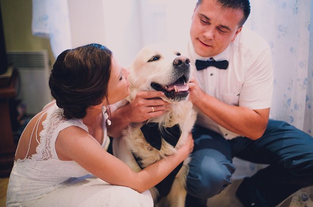 morris animal inns wedding service caters to newlyweds furry bes