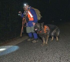 Search and Rescue Dog’s First Find Brings Little Boy Back To His Fam