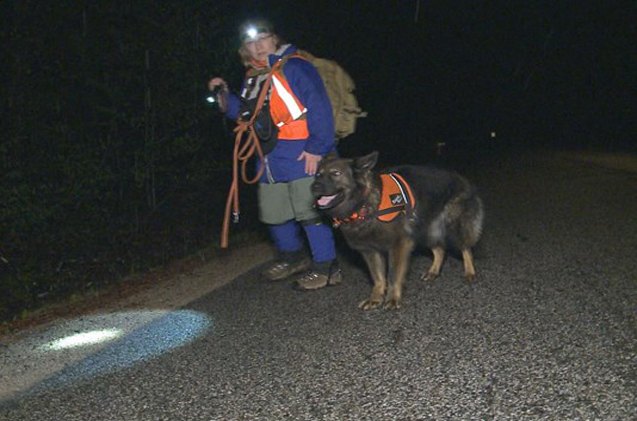 search and rescue dogs first find brings little boy back to his fam