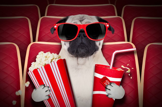 top 10 must see movies that star pets