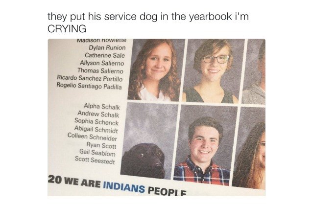 service dogs yearbook picture goes viral