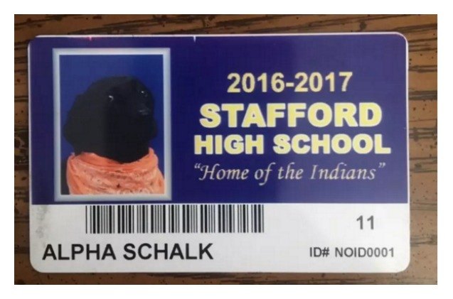 service dogs yearbook picture goes viral