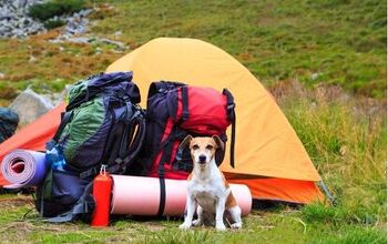 Best Canine Camping Essentials