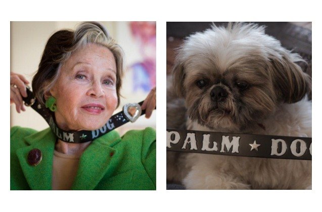 cannes canines take top palm dog honors