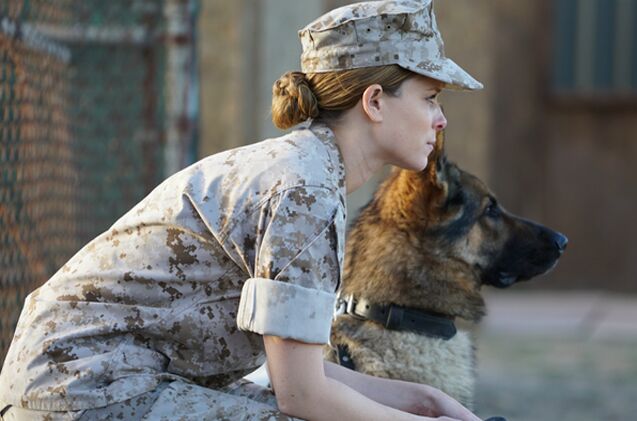 iraq war biopic recounts marine 8217 s battle for her loyal service dog