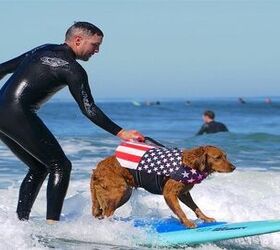 World’s Only SURFice Dog Receives Gnarly New Ride
