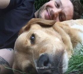 Tom Hardy’s Heartbreaking Tribute to His Furry BFF [Video]