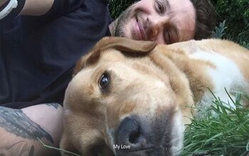 Tom Hardy’s Heartbreaking Tribute to His Furry BFF [Video]