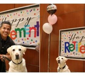 Story of Airport Service Dog’s Retirement Party Gives Us Wings!