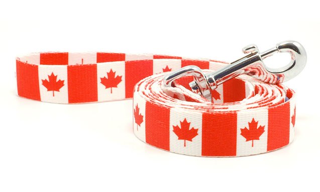 Canadian dog apparel Clearance