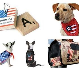 Top 10 Freedom Finds for Your Patriotic Pooch