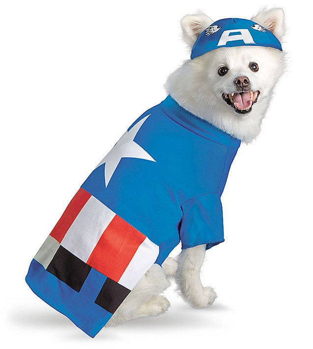 top 10 freedom finds for your patriotic pooch