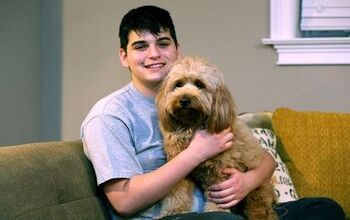 High School Student’s Service Dog Inspires Legislation Against Discr