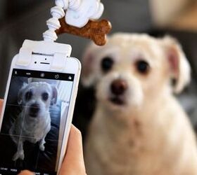 Say “Bacon” – FLEXY PAW Mobile Attachment Snaps Awesome Pet Self