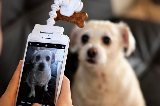 say bacon flexy paw mobile attachment snaps awesome pet self