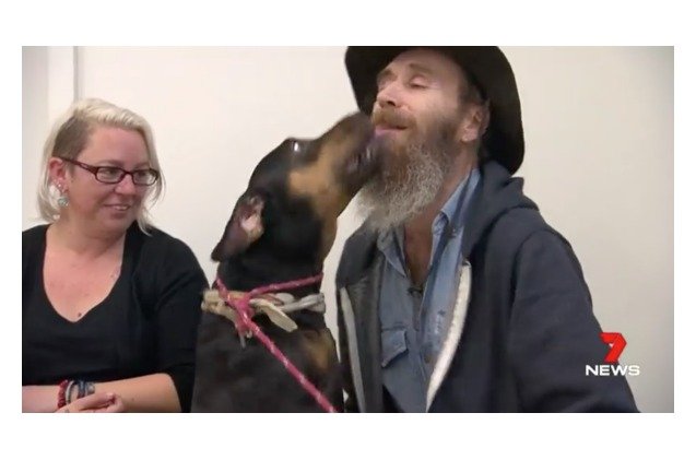 stranger 8217 s generosity means much needed surgery for a homeless man 8217 s dog