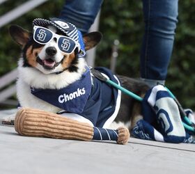 Petco’s Dog Days Of Summer Hit Home Runs in San Diego