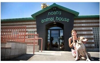 Noah’s Animal House Keeps Pets and Families Of Violence Together