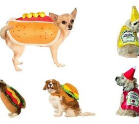 Top 10 Dogs Dressed Up Like Hot Dogs
