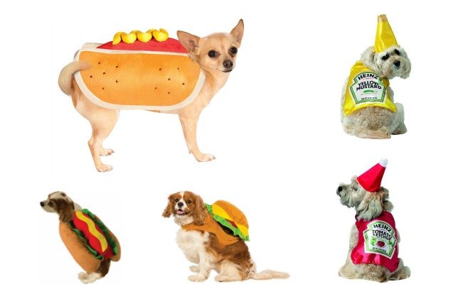 top 10 dogs dressed up like hot dogs