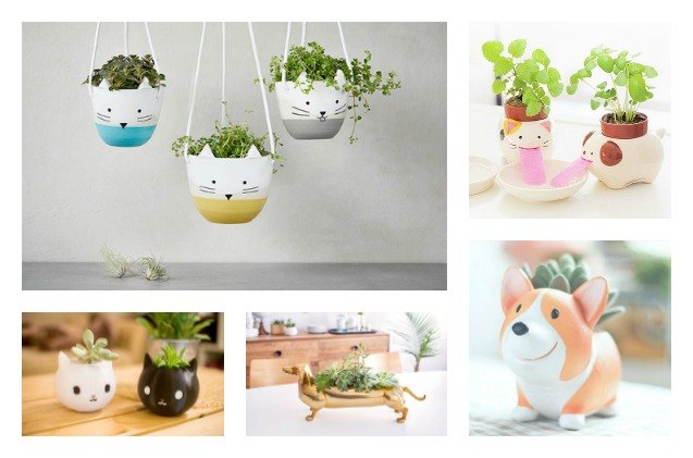 8 pet planters thatll turn your thumb green