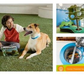 Interactive Pet Adoption Center Isn’t Your Typical Animal Shelter