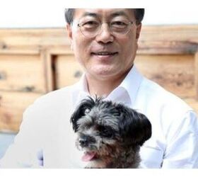 south koreas new president adopts shelter dog as part of campaign p