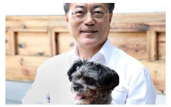 South Korea’s New President Adopts Shelter Dog As Part Of Campaign P