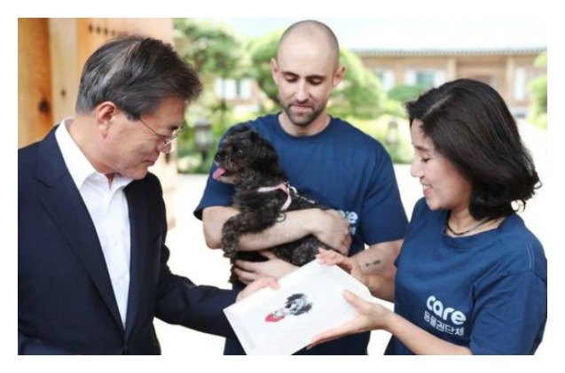 south koreas new president adopts shelter dog as part of campaign p