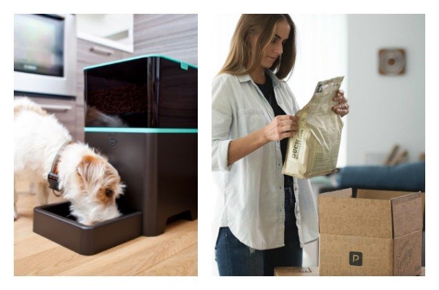 petnet 8217 s smartdelivery will now order kibble when you 8217 re running low