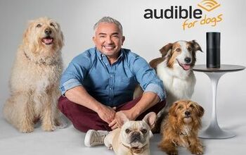 Cesar Millan Reads to Your Dog While You’re Out, Thanks to Audible