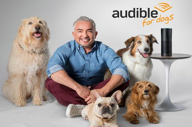 cesar millan reads to your dog while youre out thanks to audible