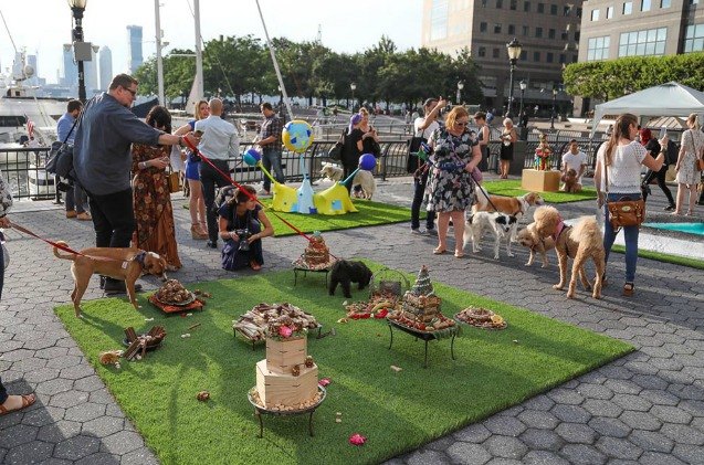 america 8217 s first art show for dogs waggingly successful