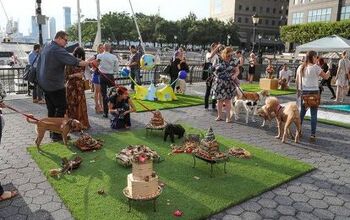 America’s First Art Show For Dogs Waggingly Successful!