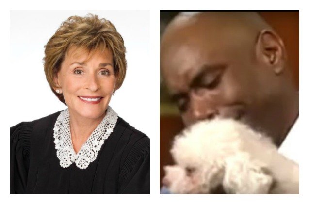 judge judy solves dog dispute in seconds after tearful reunion video