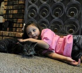 ‘Unadoptable’ Cat Shares Special Bond With New Furever Family